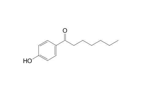 4'-hydroxyheptanophenone