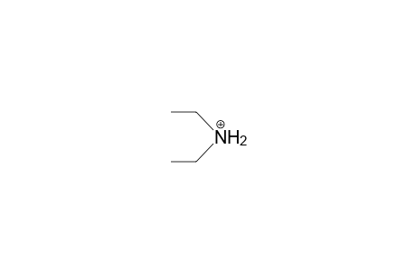 Diethyl-ammonium cation