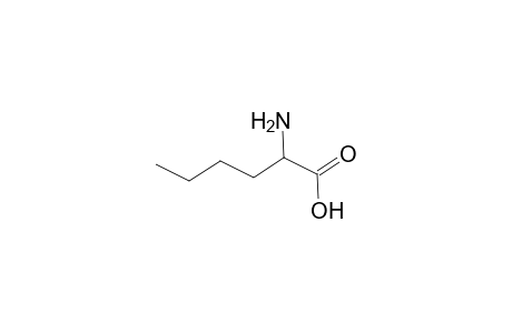 DL-norleucine