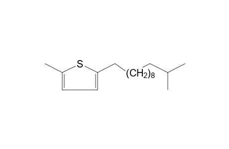 2-Methyl-5-(11-methyldodecyl)thiophene