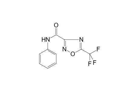 1,2,4-Oxadiazole-3-carboxamide, 5-trifluoromethyl-N-phenyl-