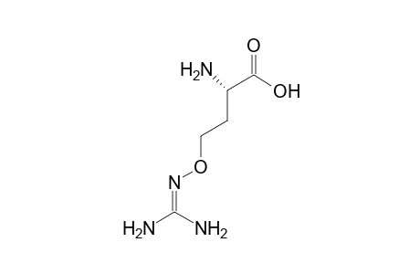 L-Canavanine