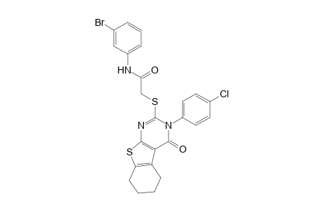 N-(3-bromophenyl)-2-{[3-(4-chlorophenyl)-4-oxo-3,4,5,6,7,8-hexahydro[1]benzothieno[2,3-d]pyrimidin-2-yl]sulfanyl}acetamide