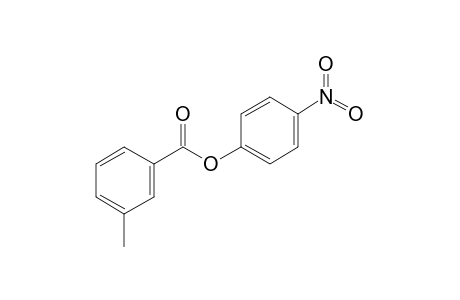 m-Toluic acid, 4-nitrophenyl ester