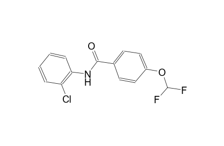 N-(2-chlorophenyl)-4-(difluoromethoxy)benzamide