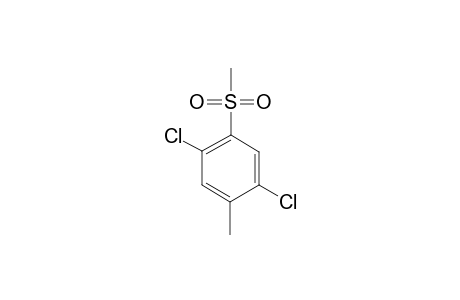 3,6-DICHLORO-4-(METHYLSULFONYL)-TOLUENE