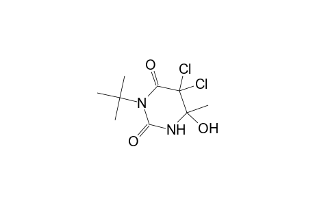 Hydrouracil, 3-tert-butyl-5,5-dichloro-6-hydroxy-6-methyl-