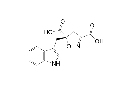 (3S)-5-[(3'-Indolyl)methyl]-4,5-dihydroisoxazole-3,5-dicarboxylic Acid