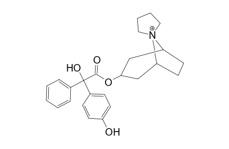 Trospium-M (HO-) MS2