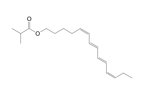 (5Z,7E,9E,11Z)-Tetradeca-5,7,9,11-tetraen-1-yl Isobutyrate