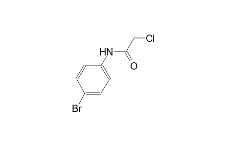 4'-bromo-2-chloroacetanilide