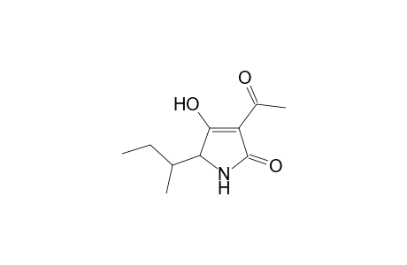 3-Acetyl-4-hydroxy-5-(1-methyl-propyl)-3-pyrrolin-2-one