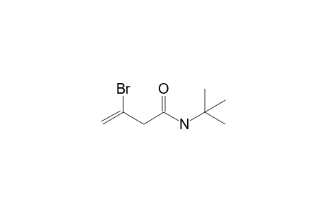 N-t-Butyl-3-bromo-3-butenamide