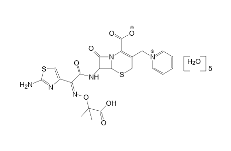 Ceftazidime pentahydrate