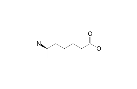 (6R)-6-aminoheptanoic acid