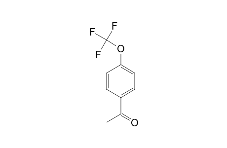 4'-(Trifluoromethoxy)acetophenone