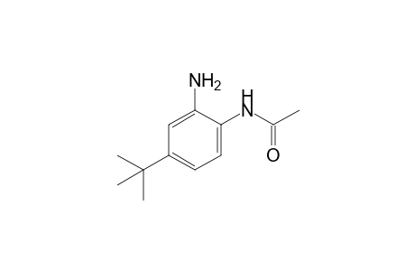 2'-amino-4'-tert-butylacetanilide