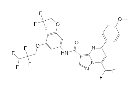 7-(difluoromethyl)-5-(4-methoxyphenyl)-N-[3-(2,2,3,3-tetrafluoropropoxy)-5-(2,2,2-trifluoroethoxy)phenyl]pyrazolo[1,5-a]pyrimidine-3-carboxamide