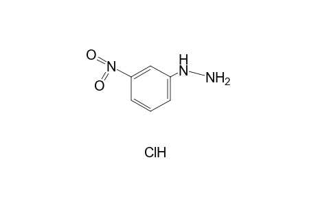 (m-nitrophenyl)hydrazine, hydrochloride