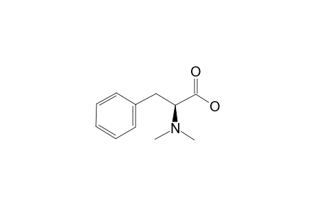 N,N-Dimethyl-L-phenylalanine