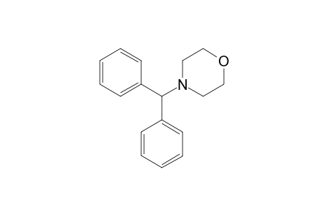 4-(DIPHENYLMETHYL)-MORPHOLINE