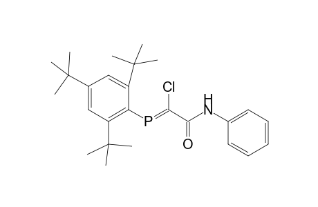 (E)-2-Chloro-1-anilino-3-(2,4,6-tri-butylphenyl)-3-phospha-2-propen-1-one