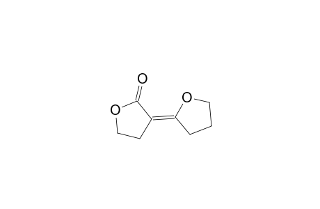 3-(Dihydro-2-furanylidene)-dihydro-2(3H)-furanone