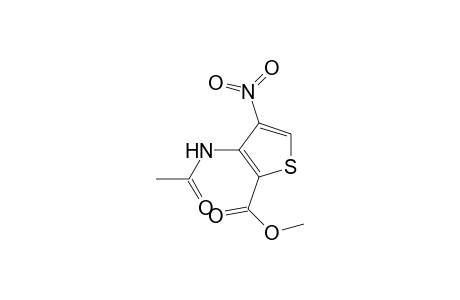 3-ACETAMIDO-4-NITRO-2-THIOPHENECARBOXYLIC ACID, METHYL ESTER