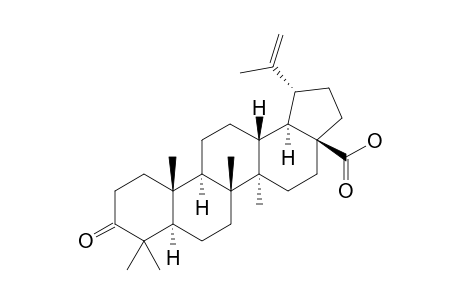 3-oxolup-20(29)-en-28-oic acid