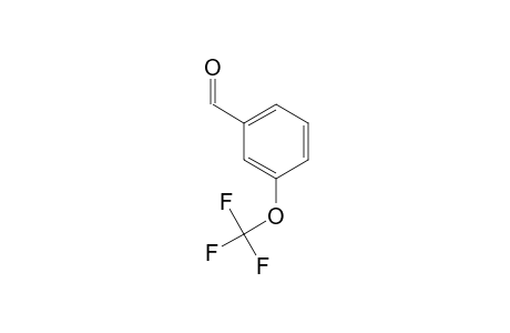 3-(Trifluoromethoxy)benzaldehyde