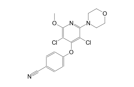 benzonitrile, 4-[[3,5-dichloro-2-methoxy-6-(4-morpholinyl)-4-pyridinyl]oxy]-