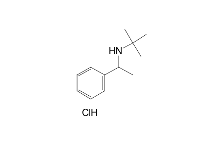 N-tert-BUTYL-alpha-METHYLBENZYLAMINE, HYDROCHLORIDE