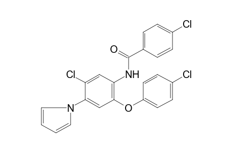 2'-(p-chlorophenoxy)-4,5'-dichloro-4'-(pyrrol-1-yl)benzanilide