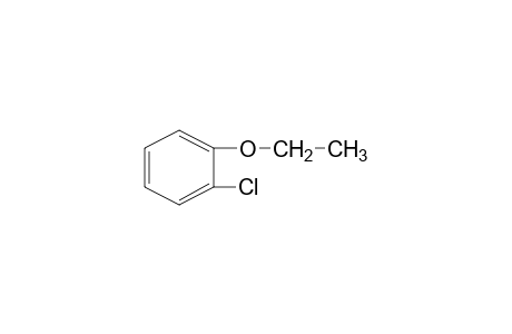 o-chlorophenetole