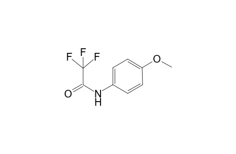 2,2,2,-trifluoro-p-acetanisidide