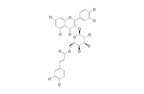 QUERCETIN-3-(6''-O-TRANS-CAFFEOYL)-BETA-D-GALACTOPYRANOSIDE