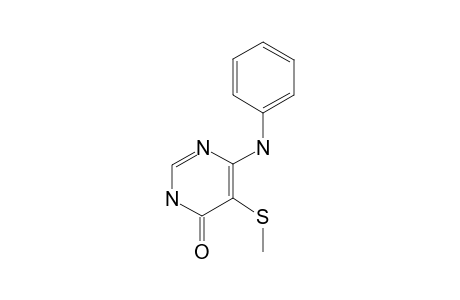 6-AMINOPHENYL-5-METHYLTHIO-PYRIMIDIN-4-ONE