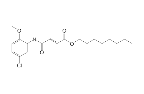 Fumaric acid, monoamide, N-(2-methoxy-5-chlorophenyl)-, octyl ester