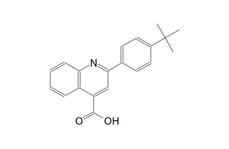 2-(4-Tert-butylphenyl)-4-quinolinecarboxylic acid