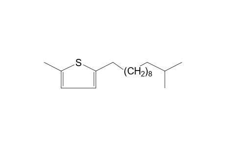 2-METHYL-5-(11-METHYLDODECYL)THIOPHENE