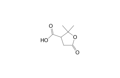 2,2-Dimethyl-5-oxotetrahydro-3-furoic acid