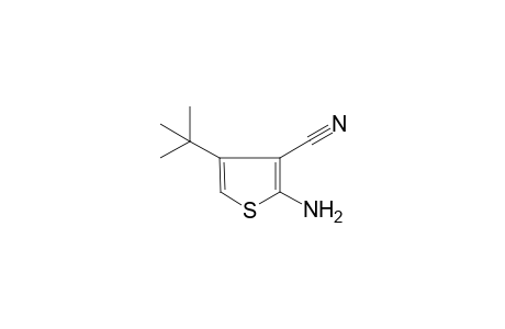 2-Amino-4-tert-butyl-3-thiophenecarbonitrile