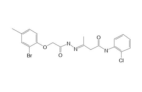 (3E)-3-[2-(2-bromanyl-4-methyl-phenoxy)ethanoylhydrazinylidene]-N-(2-chlorophenyl)butanamide