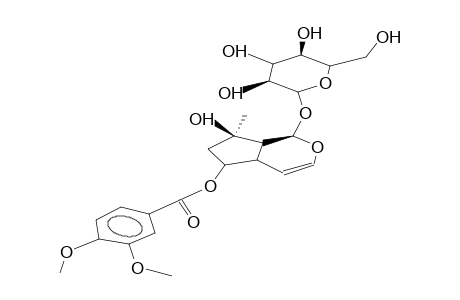 6-O-(3',4'-DIMETHOXYBENZOYL)-AJUGOL