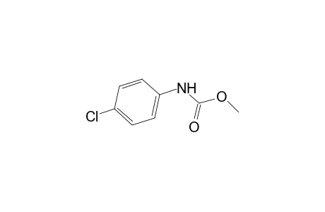 p-chlorocarbanilic acid, methyl ester