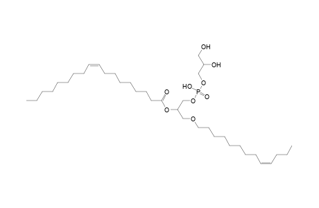 PG O-13:1_18:1