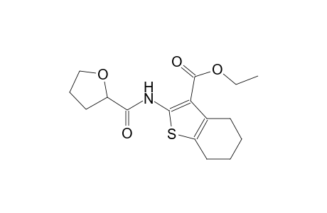 ethyl 2-[(tetrahydro-2-furanylcarbonyl)amino]-4,5,6,7-tetrahydro-1-benzothiophene-3-carboxylate
