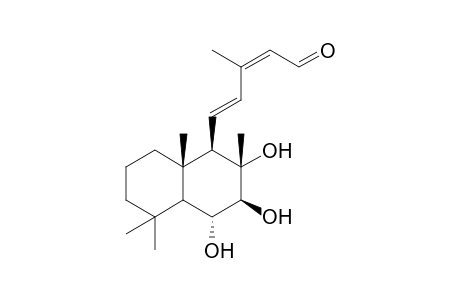 Sterebin J