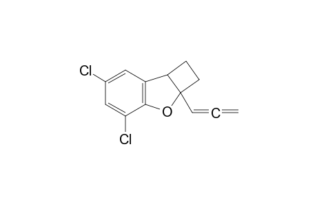 4,6-dichloro-2a-propa-1,2-dienyl-2,7b-dihydro-1H-cyclobuta[b]benzofuran