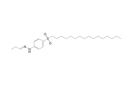 Propionaldehyde, [p-(hexadecylsulfonyl)phenyl]hydrazone